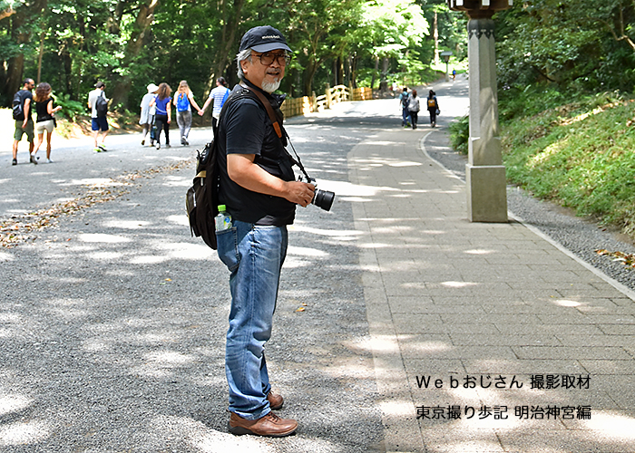 写真と映像で地域おこし -東京取材　明治神宮